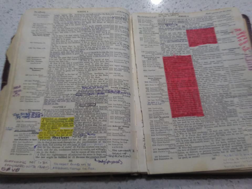 My Bible 3
